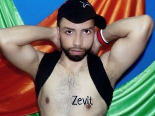 Zevit
