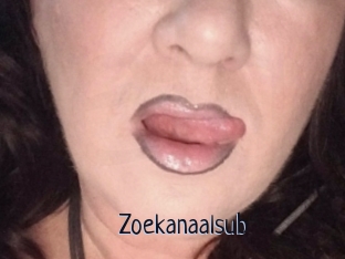 Zoekanaalsub